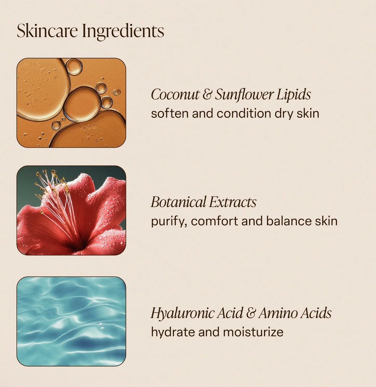 Saltair DRIFTWOOD
MULTI-LIPID BODY BUTTER