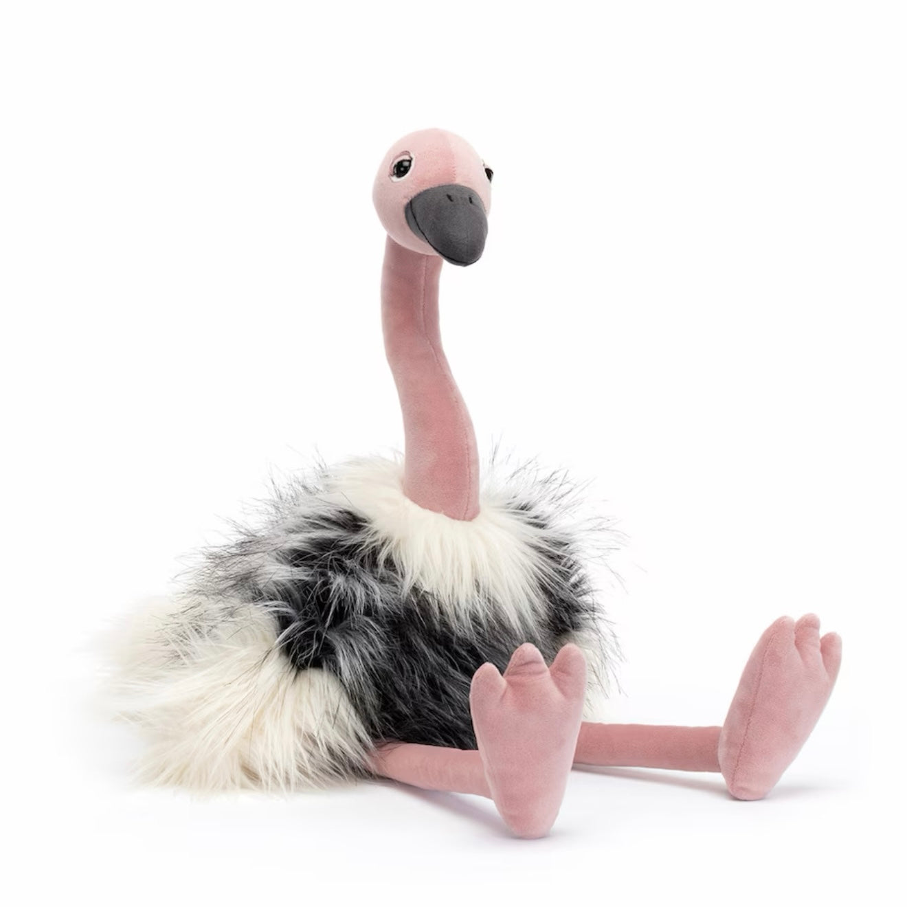 Ramonda Ostrich