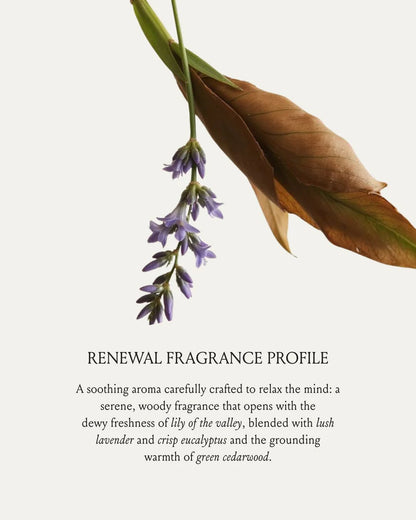 BRUNEL 
RENEWAL Hair and Body Oil