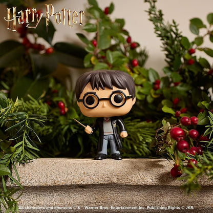 Funko Pop! Harry Potter Vinyl Figure