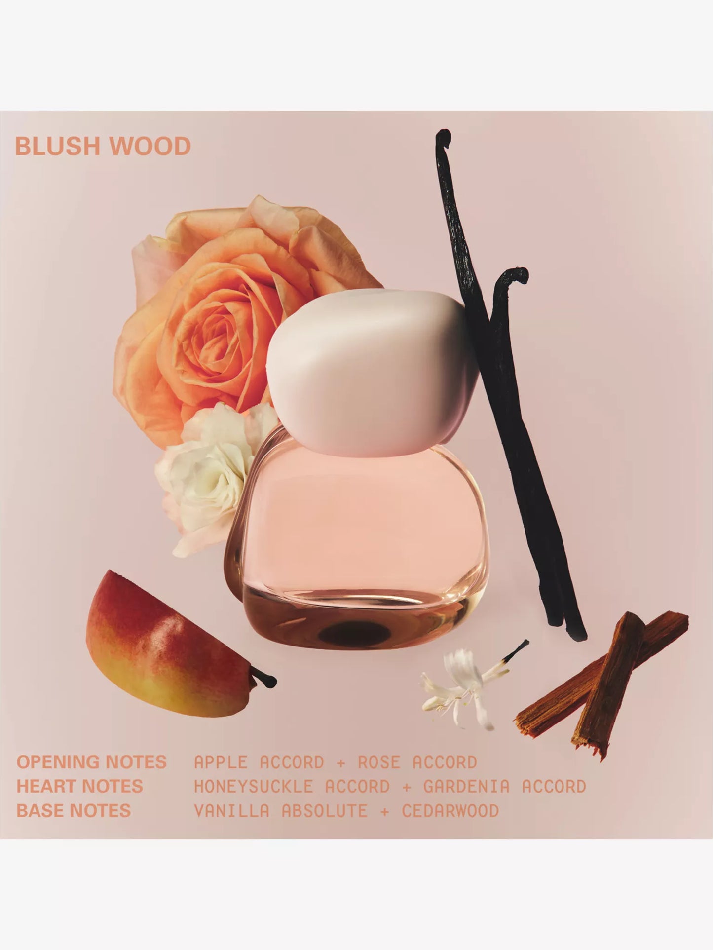 KYLIE BY KYLIE JENNER
Mood Stones Blush Wood Eau De Parfum 50ml